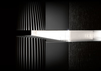 NAP S1 Statement Ultimate Mono Power Amplifier